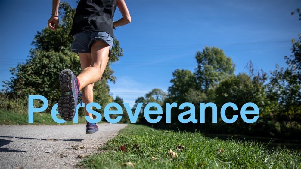 Perseverance