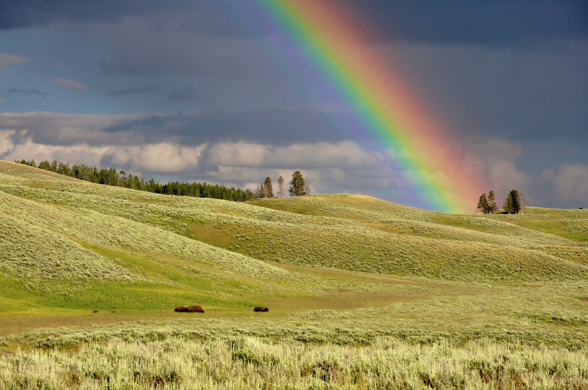 rainbow picture